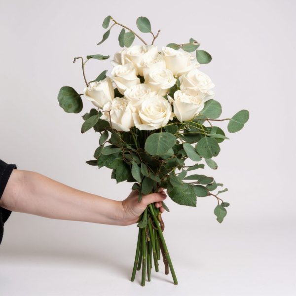 1 dozen white roses bouquet with eucalyptus held in hand on white background