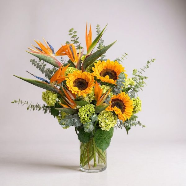 Tropical flower arrangement with sunflowers, birds of paradise, and green hydrangeas in a clear vase