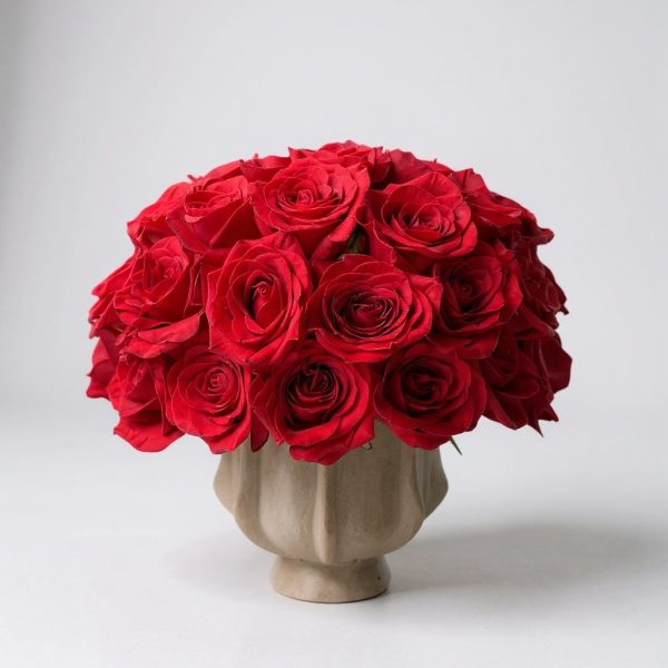 4 dozen red roses in compote